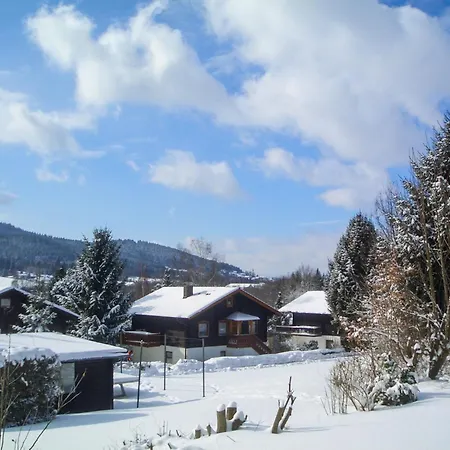 Apartmán Am Hohen Bogen-77 By Interhome *