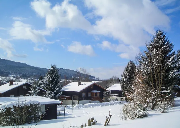 Apartmán Am Hohen Bogen-77 By Interhome *